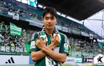 津门虎迎来转机：零成本引进全北现代名帅，格劳换队传闻被辟谣