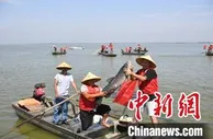 “蟹王”528克“蟹后”400克！安徽五河县迎来螃蟹丰收节