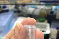 国际重大颠覆性突破 中国首次在实验室实现人工合成淀粉