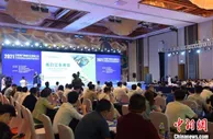 海口互联网企业达1.75万家 产业营收占全省半壁江山