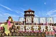 第二届中法葡萄酒文化论坛启幕：让中国葡萄酒更好融入世界