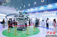 深圳参展第二届中非经贸博览会 凸显对非经贸合作势能