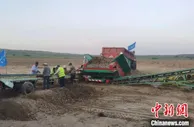 山西五寨：特色产业开富民“良方” 引领乡村振兴