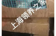 宠物盲盒悲剧再现！中通否认丢弃，如何堵漏洞？