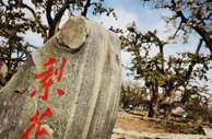 甘肃皋兰“拥河”发展：官员“挂帅出征”邀客“黄河之旅”