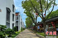 共同富裕的滕头村：乡村让城市更向往