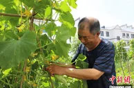 通讯：兴安盟打造幸福新乡村：让阳光照进每一个村民的心窝里