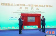 巴基斯坦入驻中国—东盟特色商品汇聚中心 冀促进经贸往来