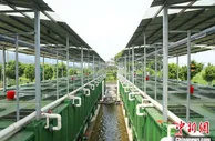 珠三角地区实施百万亩池塘升级改造行动