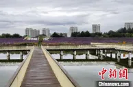 “中国镍都”金昌双向融合文旅资源：投融资黄河文化产业带