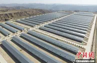 甘肃环县从“土法养羊”到引智建产业科技“硅谷”