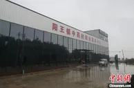 道地远志发源地产业蝶变  山西新绛扬中药材之长谋共同致富