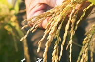 GDP同比增长4.8% 一季度多项重磅数据公布!