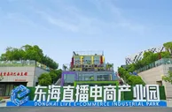 抢搭数字贸易快车 东海电商势头强劲
