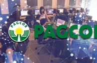 博彩资讯：菲律宾PAGCOR批准Philweb提供16家在线电子游戏服务