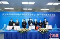 广西与柬埔寨首签RCEP框架下备忘录 柬木薯片直供中国