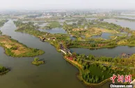 江苏扬州北湖湿地公园开园 “城郊荒北湖”美景再现