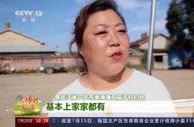 走进乡村看小康丨60年的老韭菜长啥样？村里发家致富都靠它