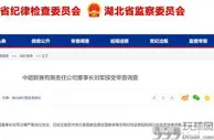 上午还在工作下午就被带走，这个领域至此已有14人通报被查