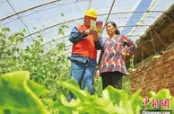 山西上半年实施626个电能替代项目 相当于减碳排482万吨