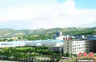 青海西宁“海归”创业记：有“个性”的藏毯，我想做一辈子