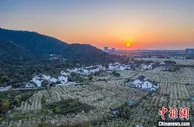 （中国这十年·见微）姑苏城外“双创”村