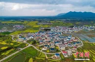 经济观察：2022年，中国如何接续全面推进乡村振兴？