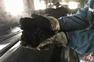 统计局：3月规上工业原煤生产小幅下降 原油生产稳定增长