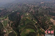 山西乡宁“苹果村”的升级之路：不变与变中找到振兴密码