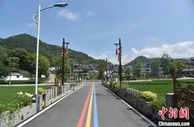 浙江遂昌跨越式发展启示录：数字化改革求解山区县出路