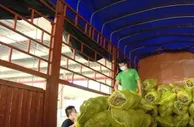 广西保障北海应急物流畅通 生活必需品价格稳定