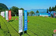 全国200余名中职选手在湖北五峰“赛茶”