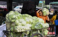 农业农村部：多因素致近期菜价上涨 供应总量充足