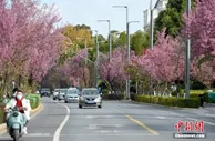 换大房子？多地公积金贷款买二套房，首付低至三成