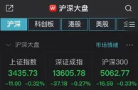两市低开沪指跌0.32%：资源股走弱，农业股强势