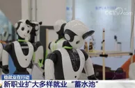 新职业反映数字经济发展需要 扩大多样就业“蓄水池”