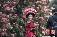 “红”“绿”辉映引千万游客游贵州 清明小长假实现旅游收入86.12亿