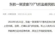 东航一架波音737客机坠毁，东航、波音回应