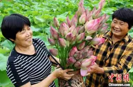 一元一枝鲜荷苞：浙江建德农户一季平均增收万元