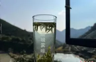浙江丽水“莲城雾峰”茶上市 售价每斤高达1500元