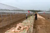 调结构兴产业 山西榆次：村里建起了“绿色银行”