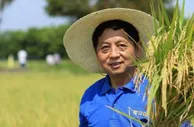 守护粮食“芯片” 上海科研人员20余年投身“节水抗旱稻”育种