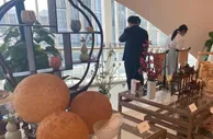 海内外客商“烟花三月下扬州” 千年运河畔话未来之约