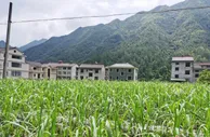 浙江丽水谱“两山”新篇：生态产品价值打开经济“绿宝藏”