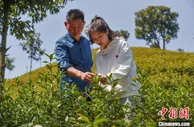 【十年@每一个奋斗的你】浙江德清“95后”茶二代：让家乡的茶香飘得更远