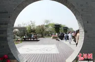 打造20亿级特色产业 江苏泗阳“绚烂花海”拓宽乡村振兴路