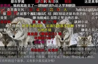 AI续写火了！靠谱吗？作家会失业吗？