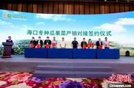 海口借势2021海南冬交会以“会”招商  现场签约销售额达3.35亿元