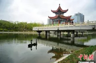 目之所及皆风景 逾两万公顷绿地拉升长春幸福指数