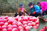 全国大型煤炭基地平凉主攻绿色智能开采 推进高效利用